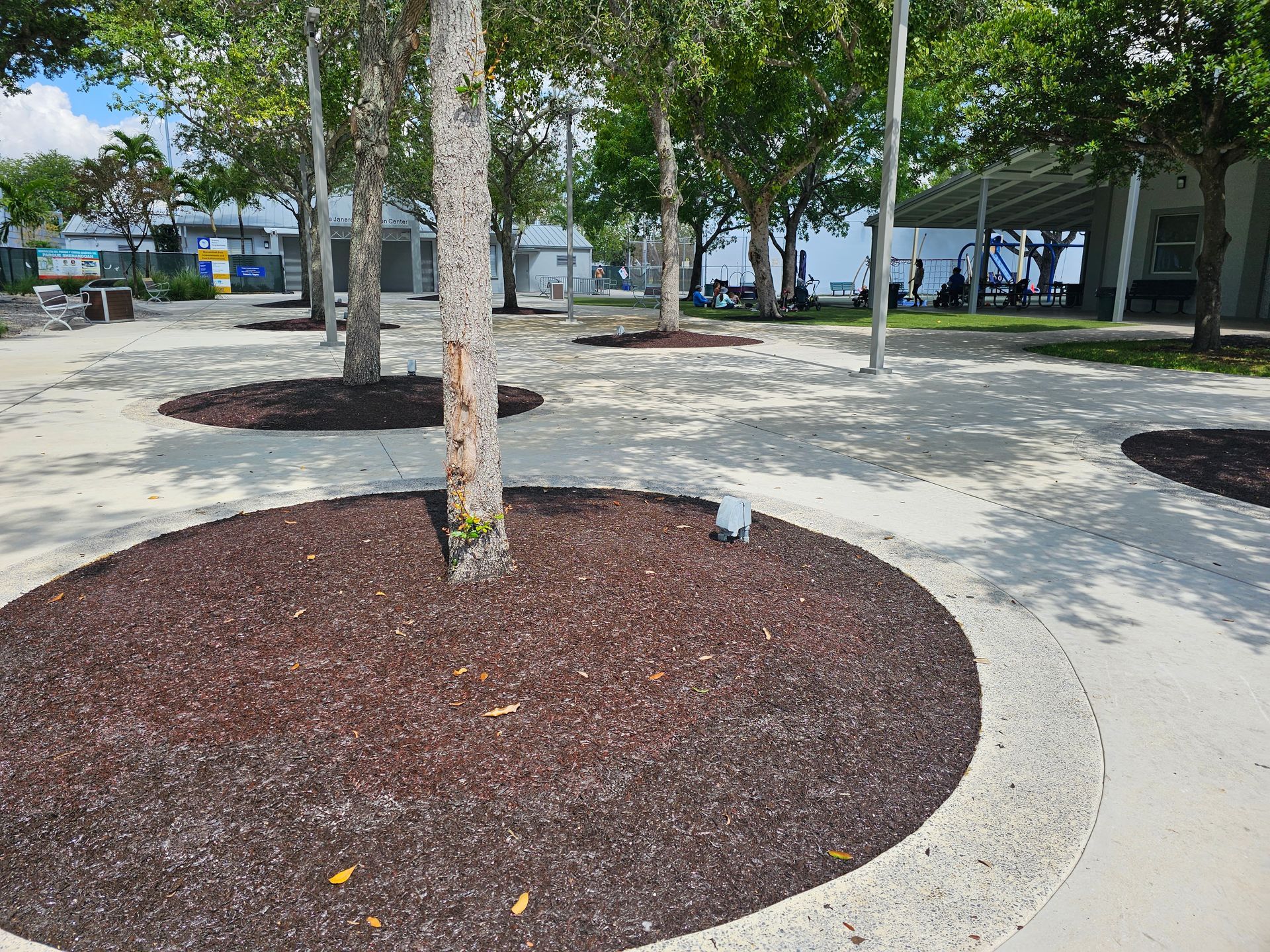 Park with mulched tree beds, paved paths, and a bench under trees on a sunny day