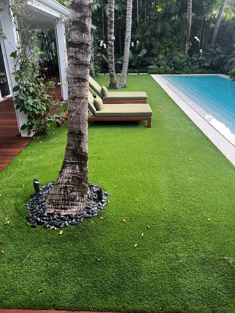 Tropical poolside lawn with palm trees, lounge chairs, and a blue swimming pool