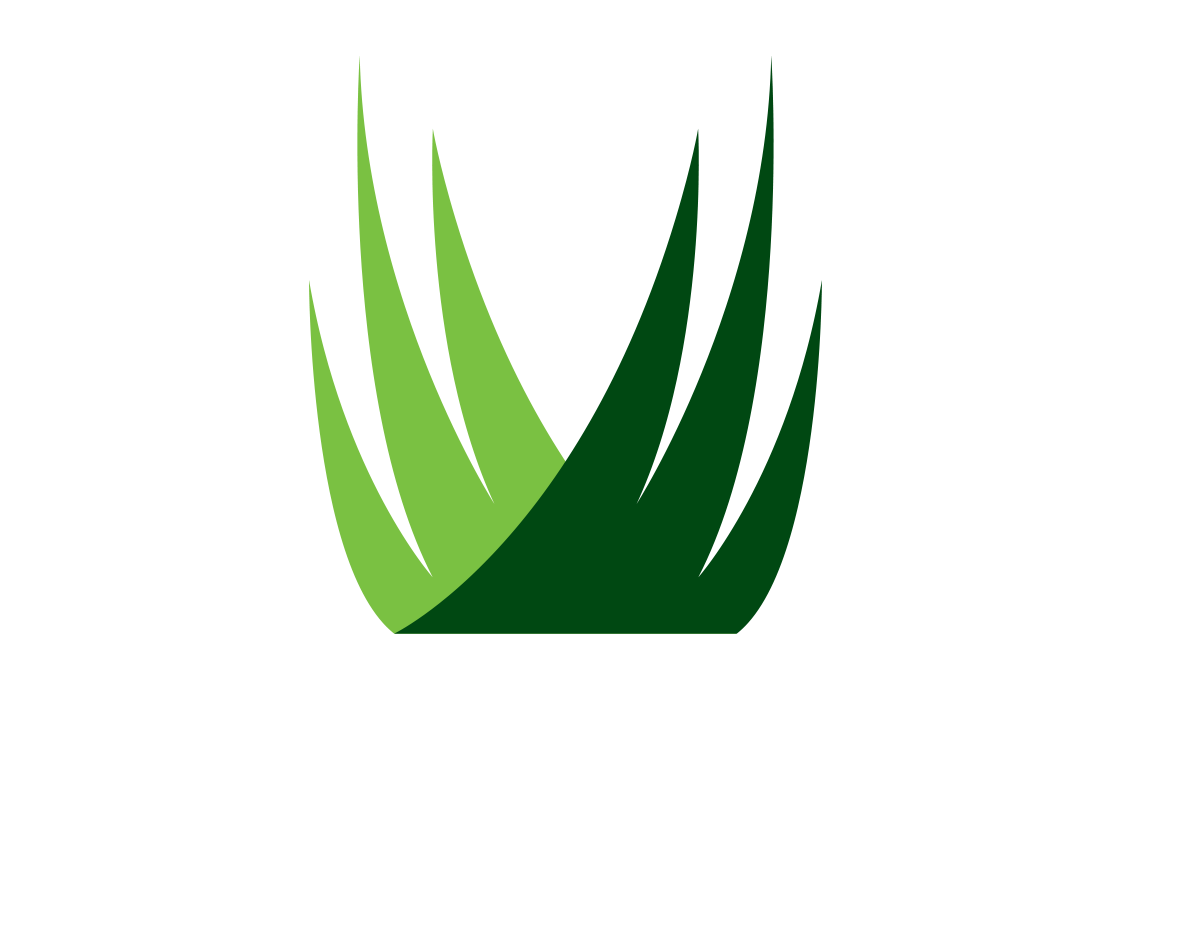 Abstract green leaf-like logo with layered dark and light green blades