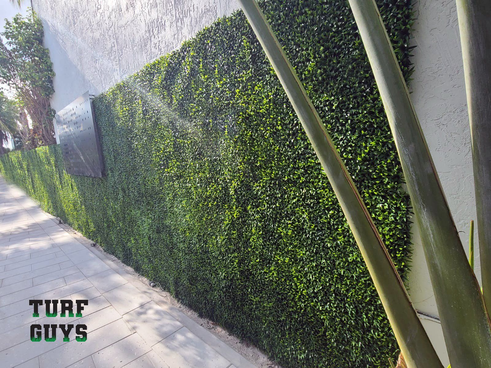 Green artificial hedge wall along a sidewalk, with tall plant stems in front and a “Turf Guys” logo