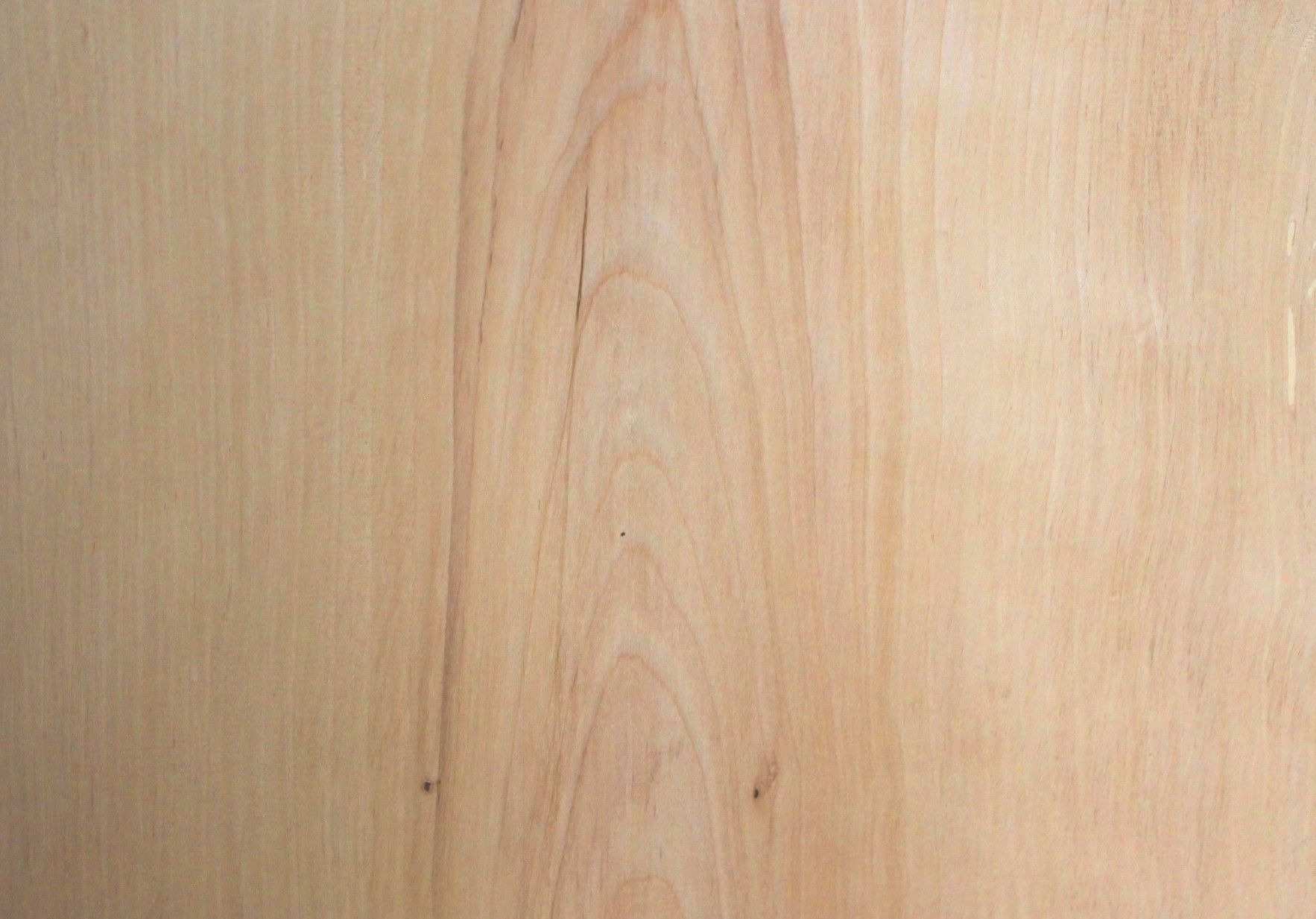 birch