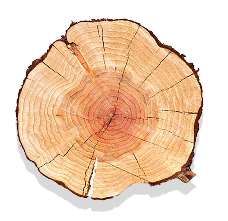 domestic wood inventory