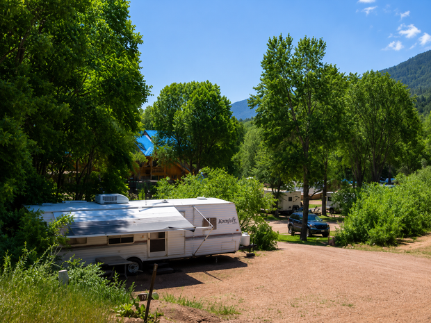 Camper trailer parked under trees in a sunny forested campground, with mountains in the background