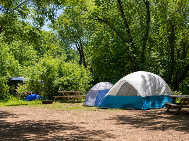 Green campsite with two tents among trees, picnic table, and a grill in a wooded park.