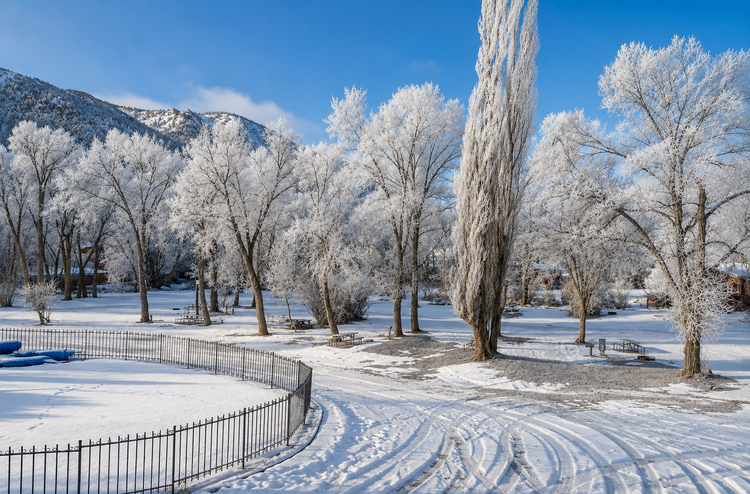 Snowy park with frost-covered trees, mountains in the background, and a curving path in winter sunlight