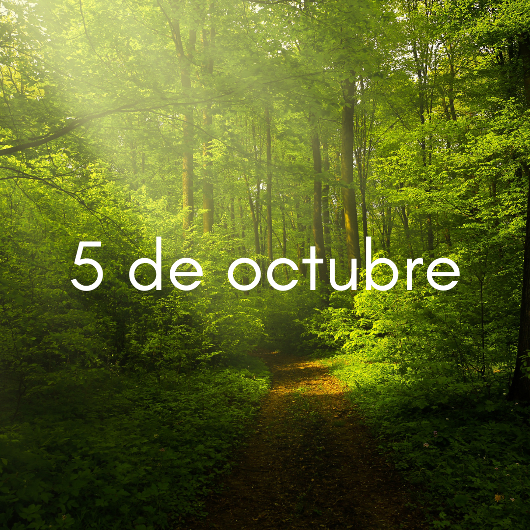 5 de octubre