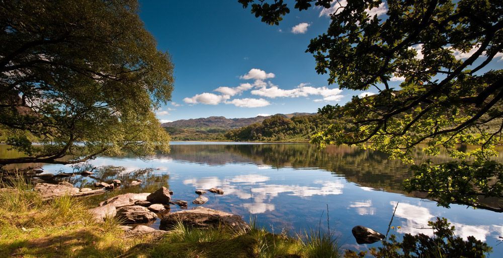 Dinas Emrys