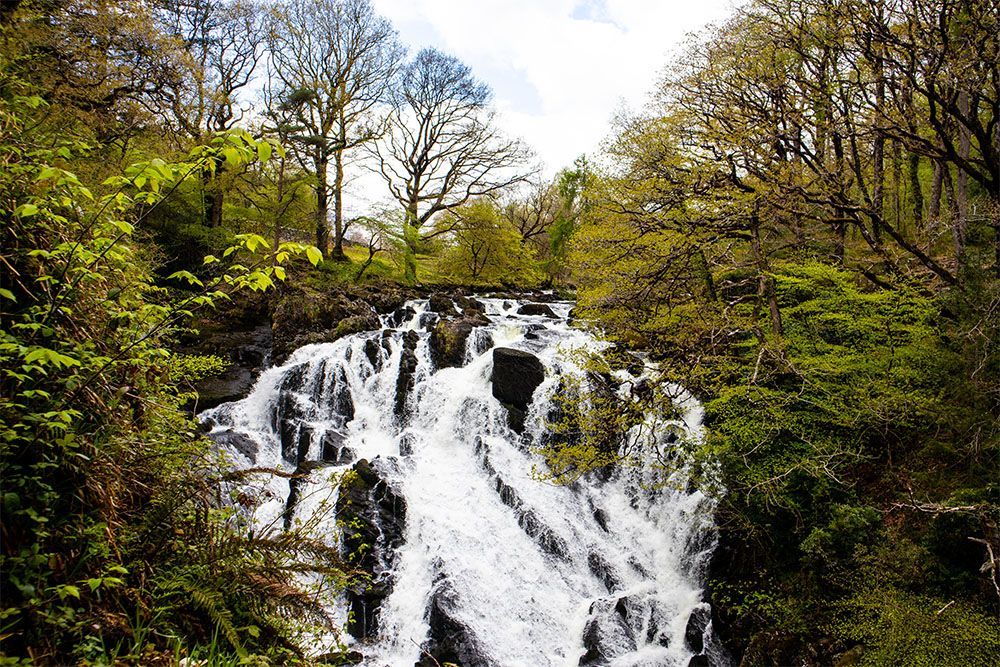 Springtime falls