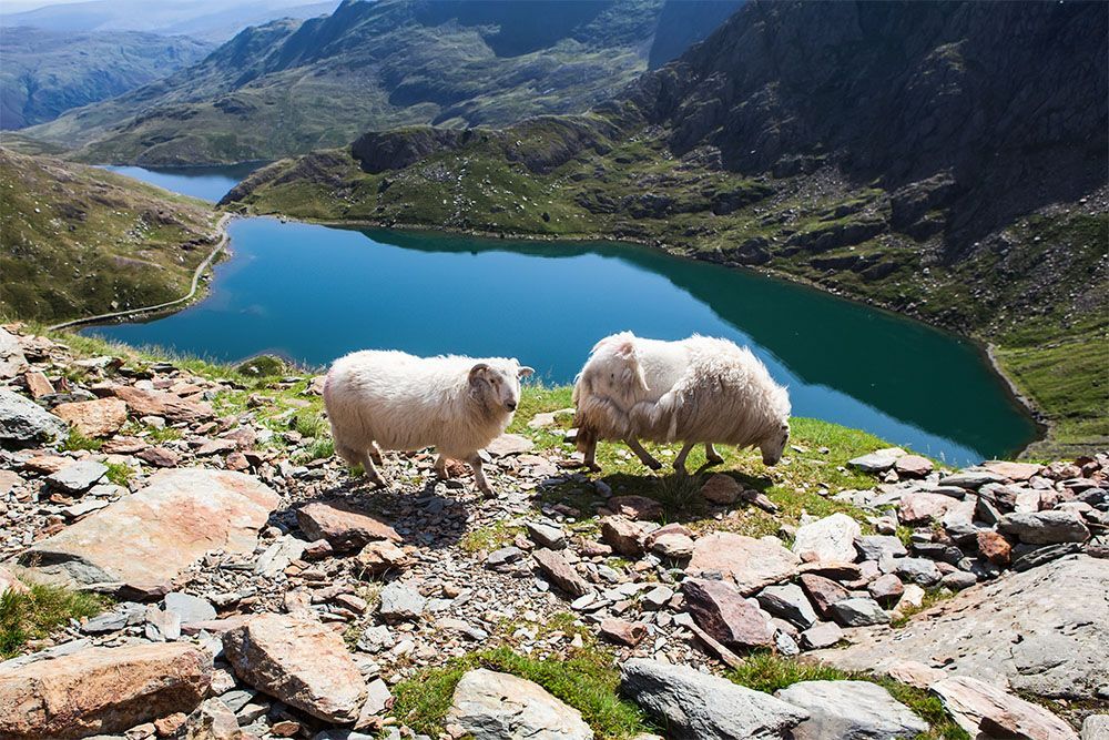 Track in Snowdonia National Park