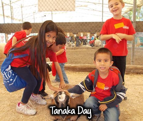 A group of children petting a small goat called tanaka day