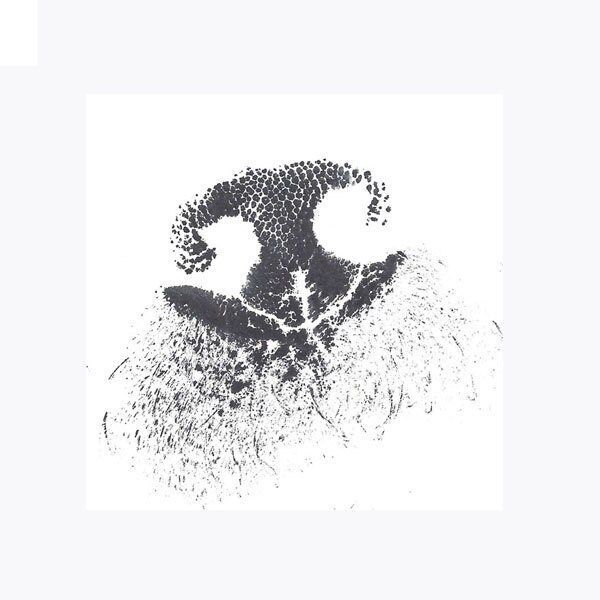 a gray circle with a paw print and the word name on it .