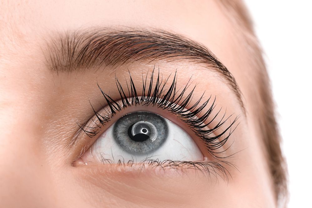 Primer plano de un ojo con pestañas largas y oscuras y ceja bien definida, mirando hacia arriba; iris gris.
