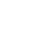 world icon