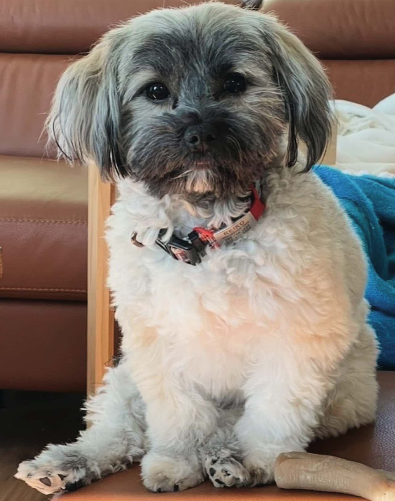 Reiko