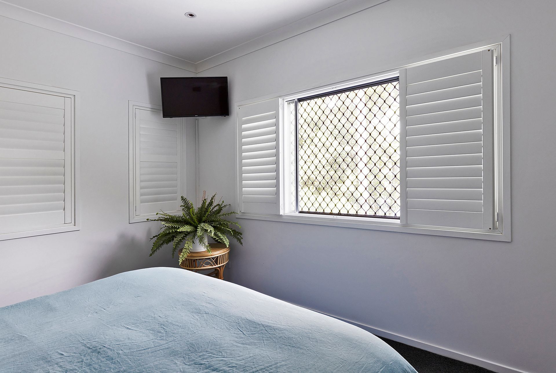 Bedroom with white shutters, window with security screen, small TV, and plant near bed.