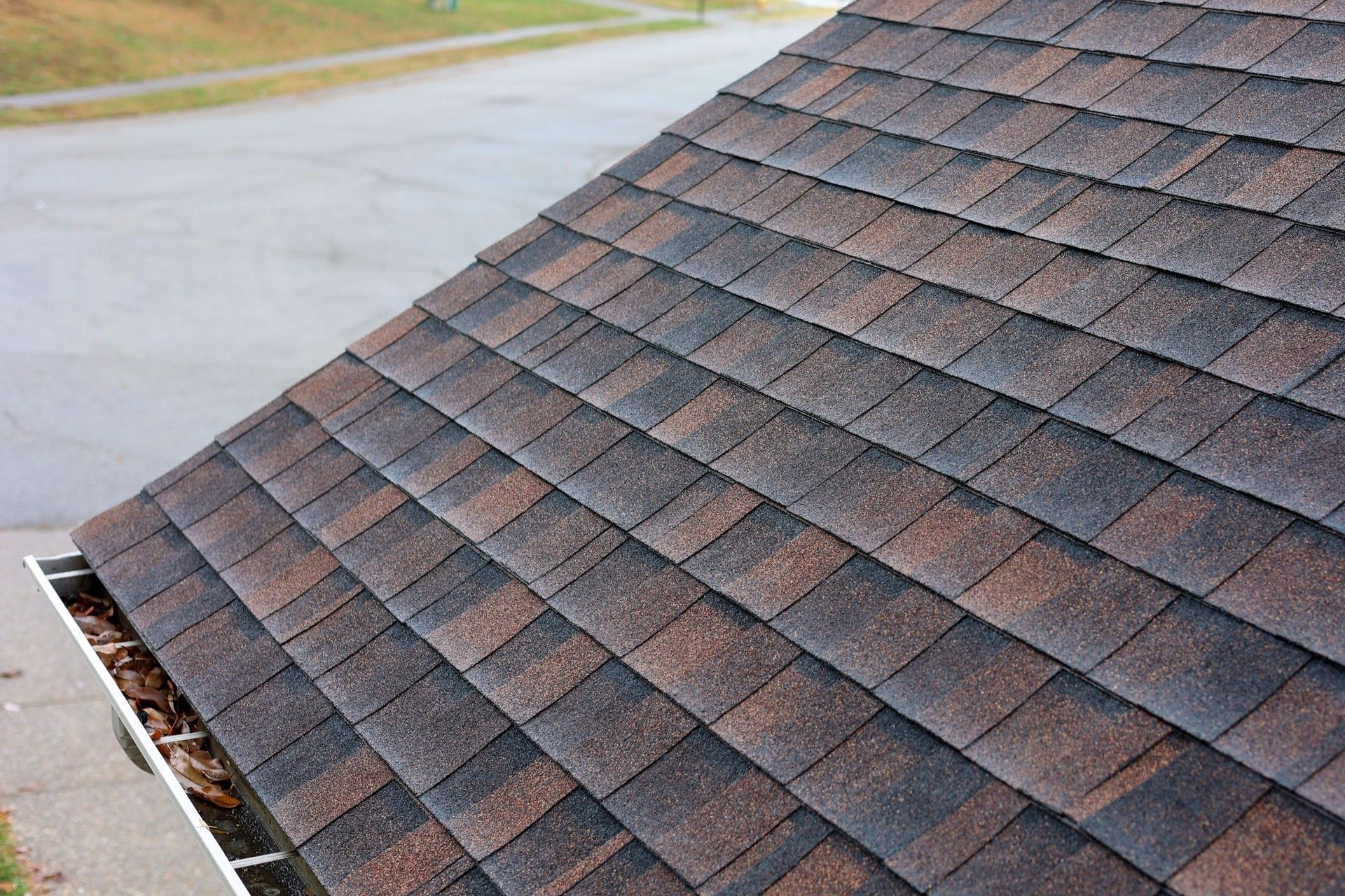 Close-up of a brown and black shingle roof, with a gutter in view.
