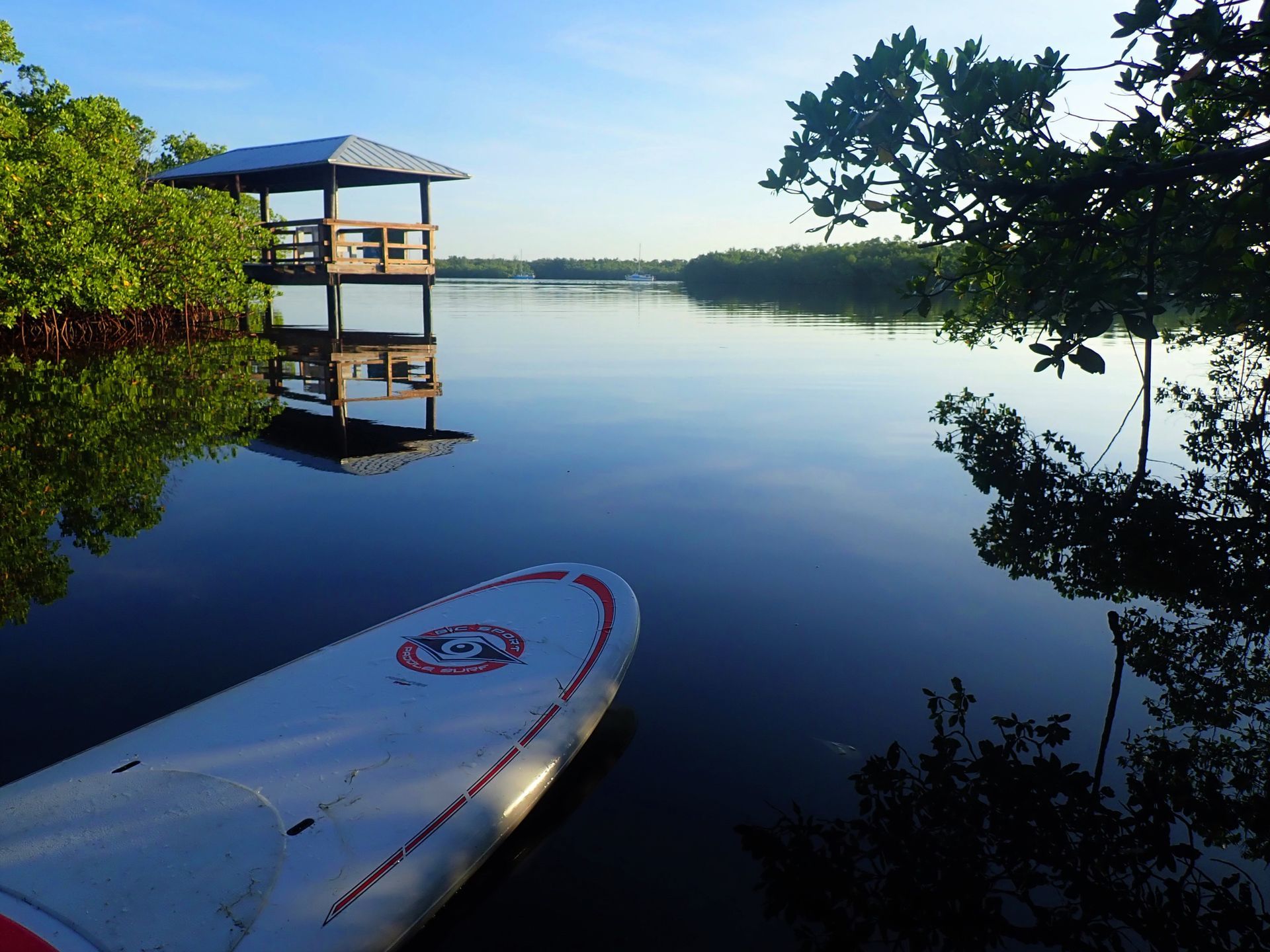 Paddleboard on calm lake at sunrise, with a dock and trees reflected in the water