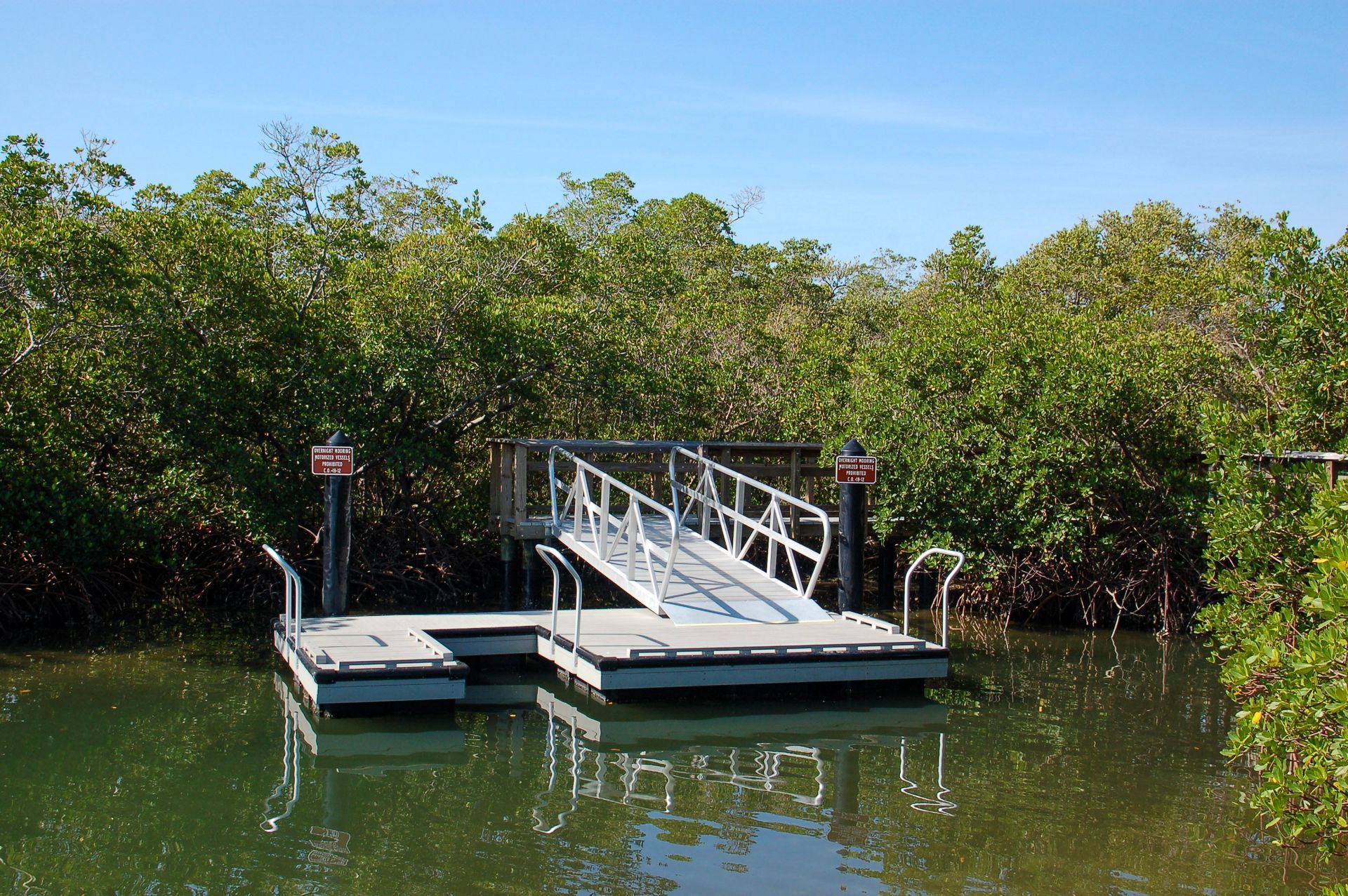 Small floating dock with a metal ramp on calm green water, surrounded by dense trees