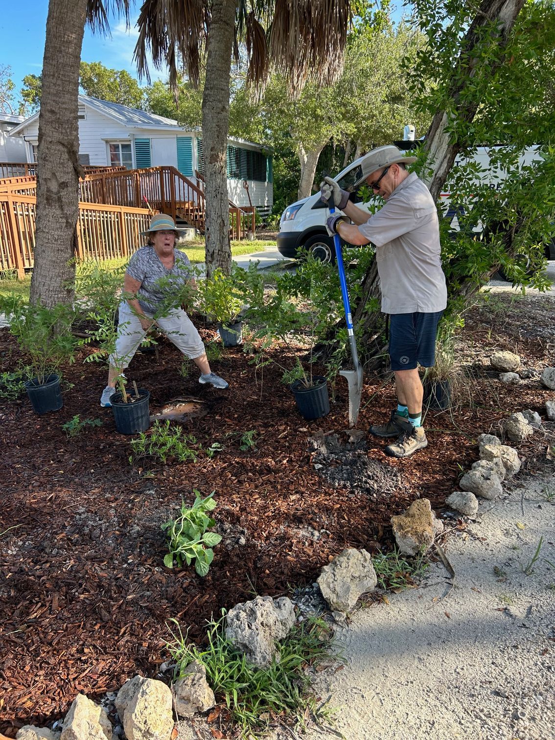 Two workers planting in a mulched garden bed beside a driveway, with trees and a house in the background