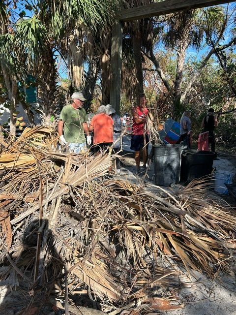 People standing beside a large pile of dried palm fronds in a wooded outdoor area