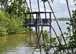 A small house on stilts in the middle of a body of water surrounded by trees.