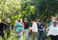 Group of people walking on a wooded trail in bright sunlight