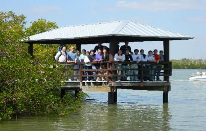 People on a small covered dock over water beside mangroves, with a boat in the distance.