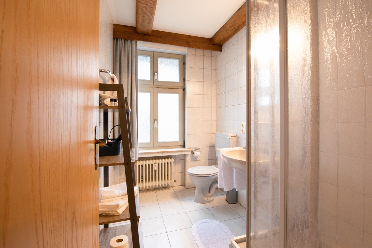 Ein Badezimmer mit Toilette, Waschbecken und Dusche.
