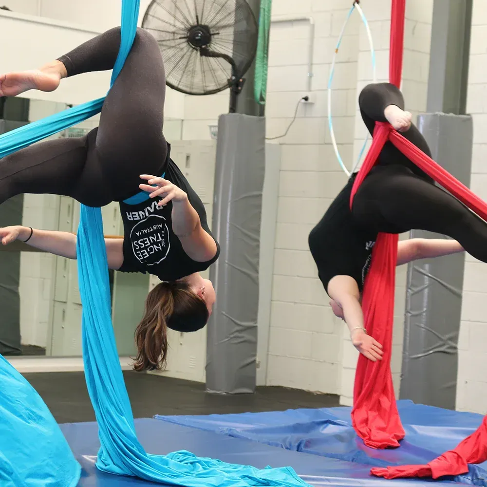 bungee fitness, birthday party, group fitness, gym, bungeefit, bungee fitness franchise, aerial, silk, hoop, trapeze, aerial
