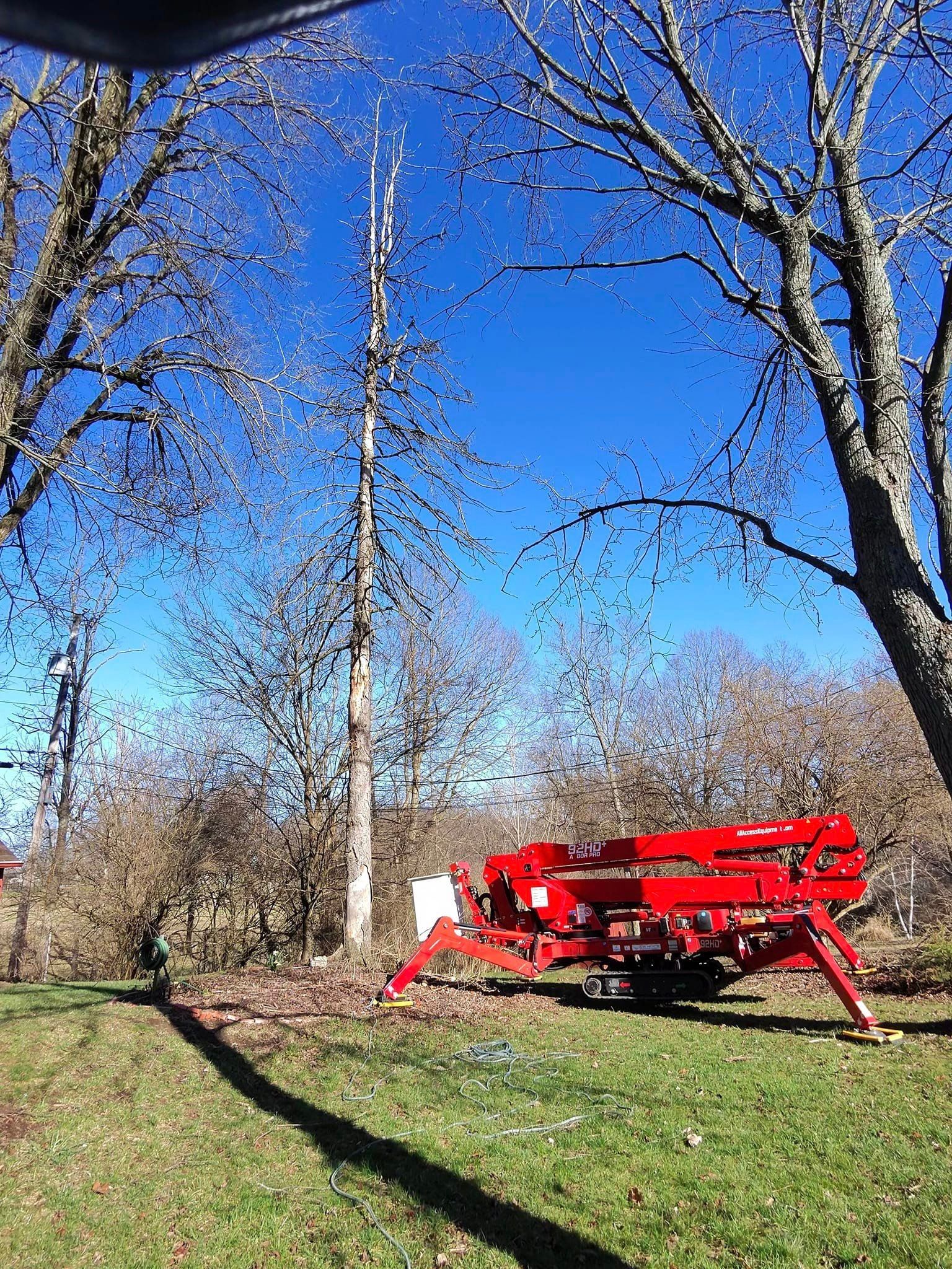 A red bench is sitting in the middle of a grassy field.