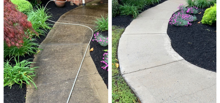 Comparison of a dirty and clean concrete walkway, with plants on each side.