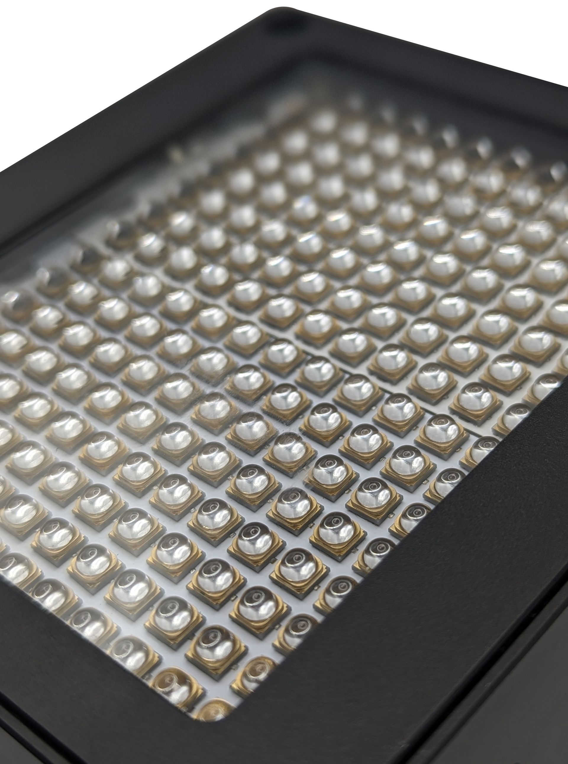 UV LED