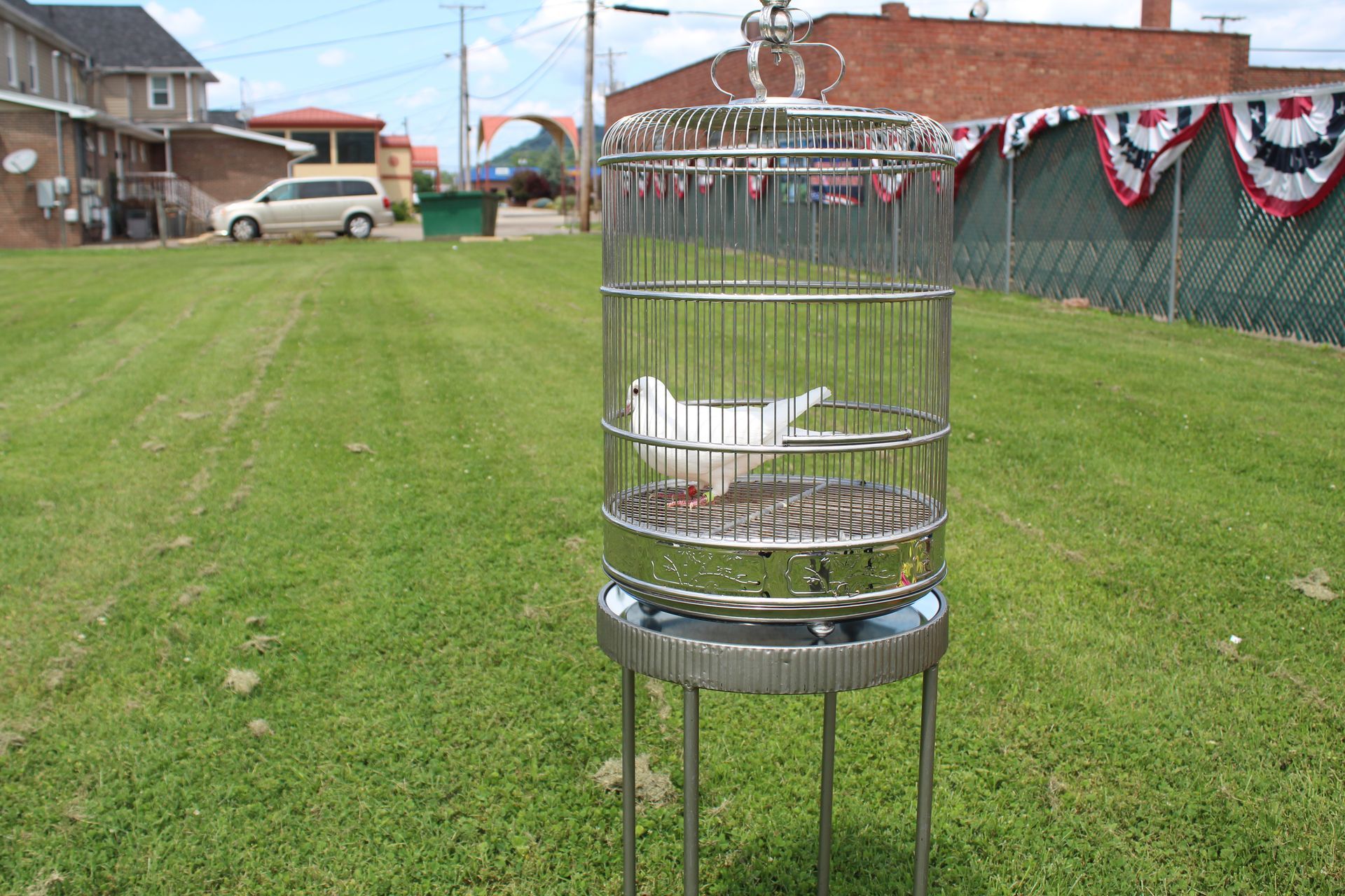 Metal birdcage on a lawn with a white bird, near houses and a decorated fence on an overcast day