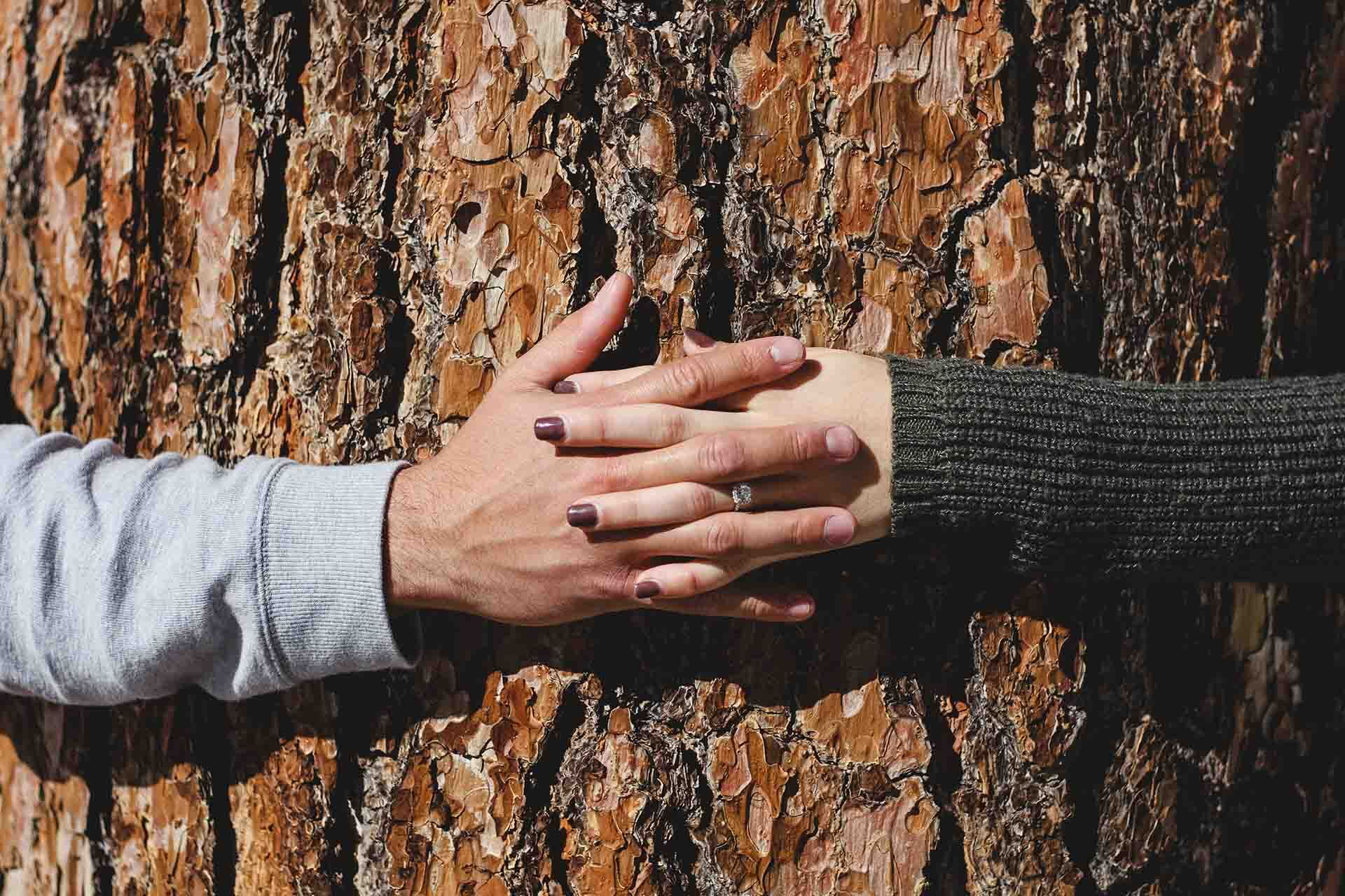 Grief Support