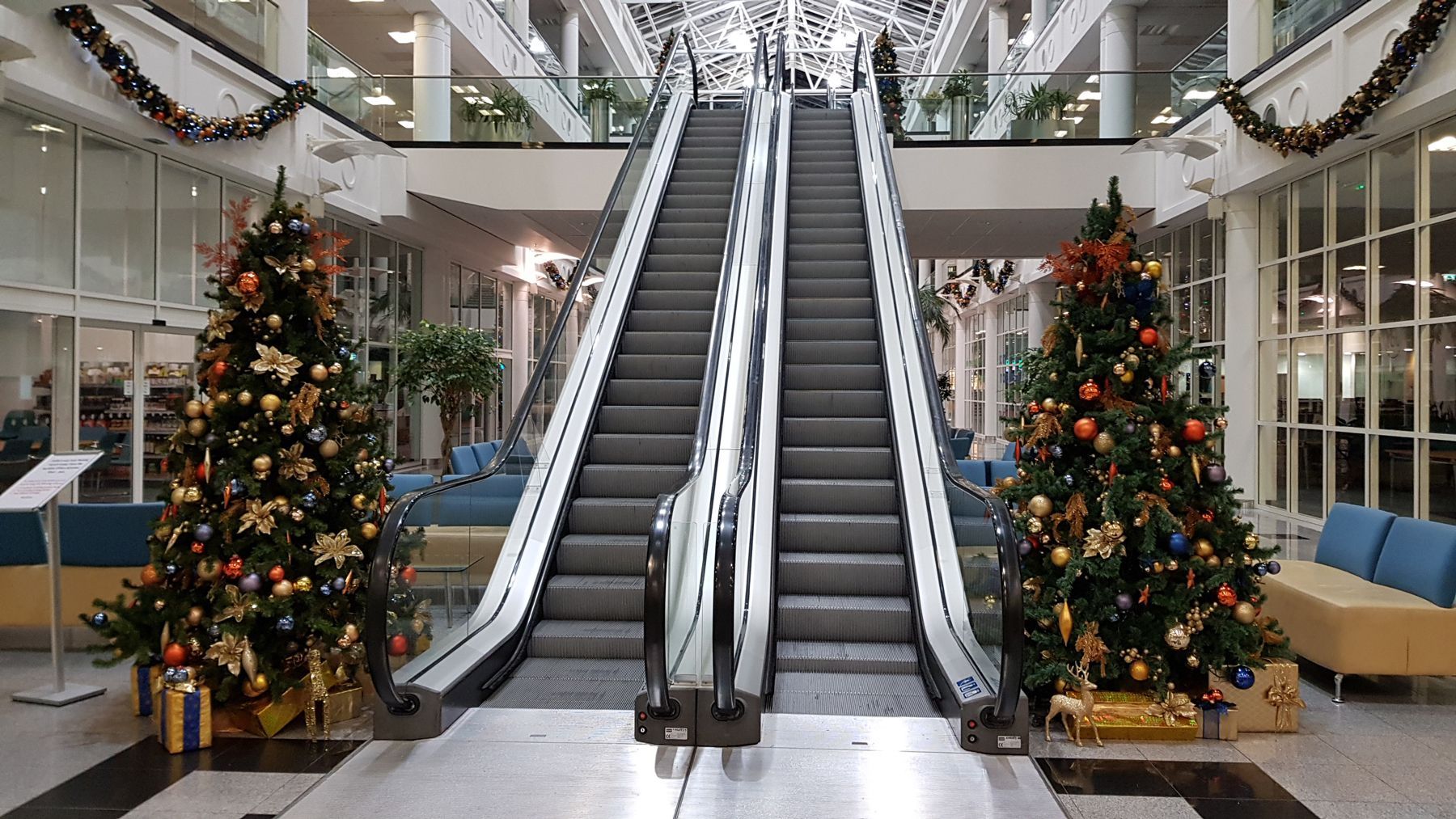 Two christmas trees are in front of an escalator in a mall.