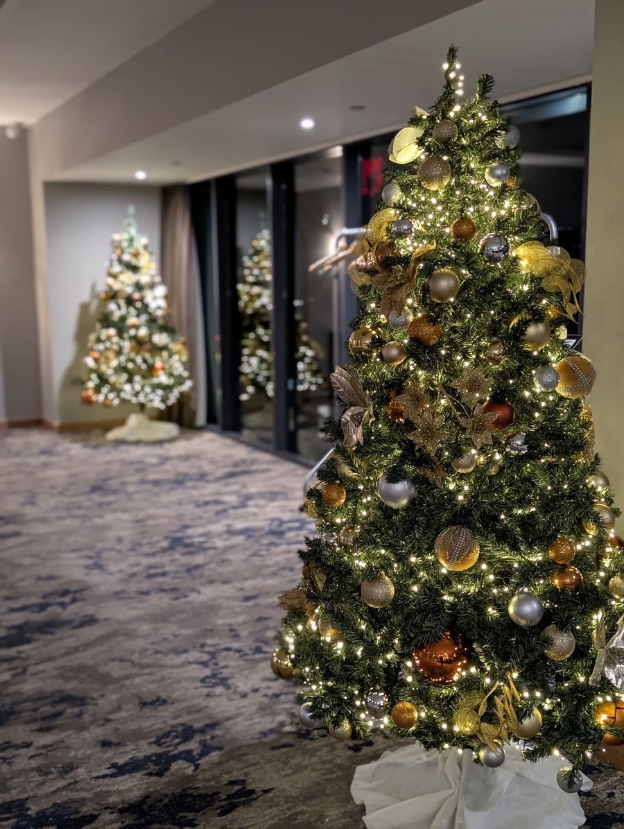 Decorated Christmas trees in a hotel hallway with warm lights and ornaments