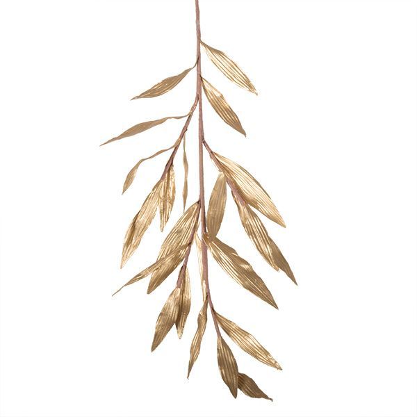 Delicate dried beige grasses or seed heads on a white background