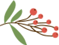 A branch with red berries and green leaves on a white background.