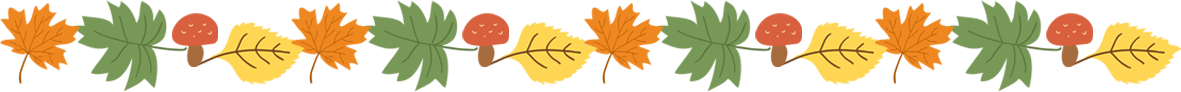 Colorful leaves on a white background.