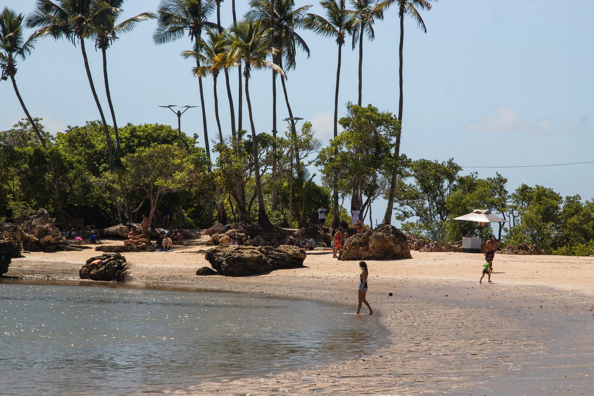 Uma praia com muitas palmeiras ao fundo