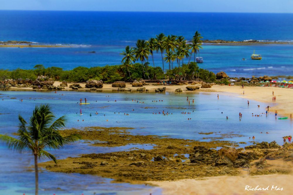 Uma foto de uma praia tirada por richard max