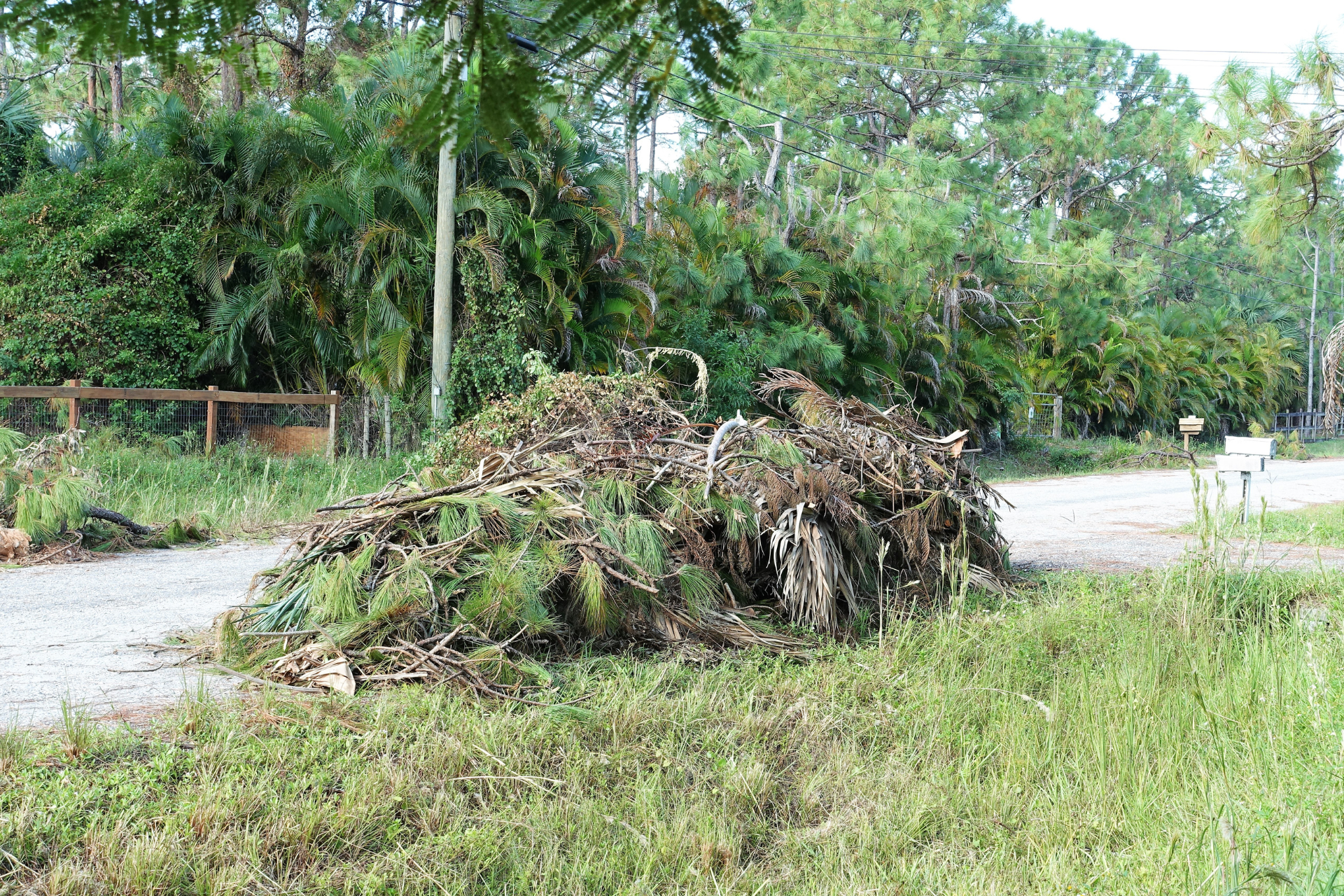 Yard Debris Removal