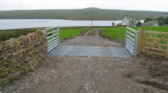 Gated Side Rails