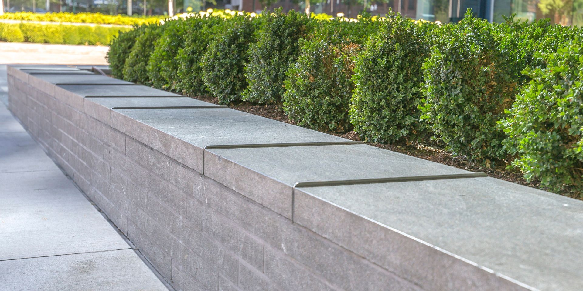 Long concrete bench beside trimmed green hedges along a sidewalk