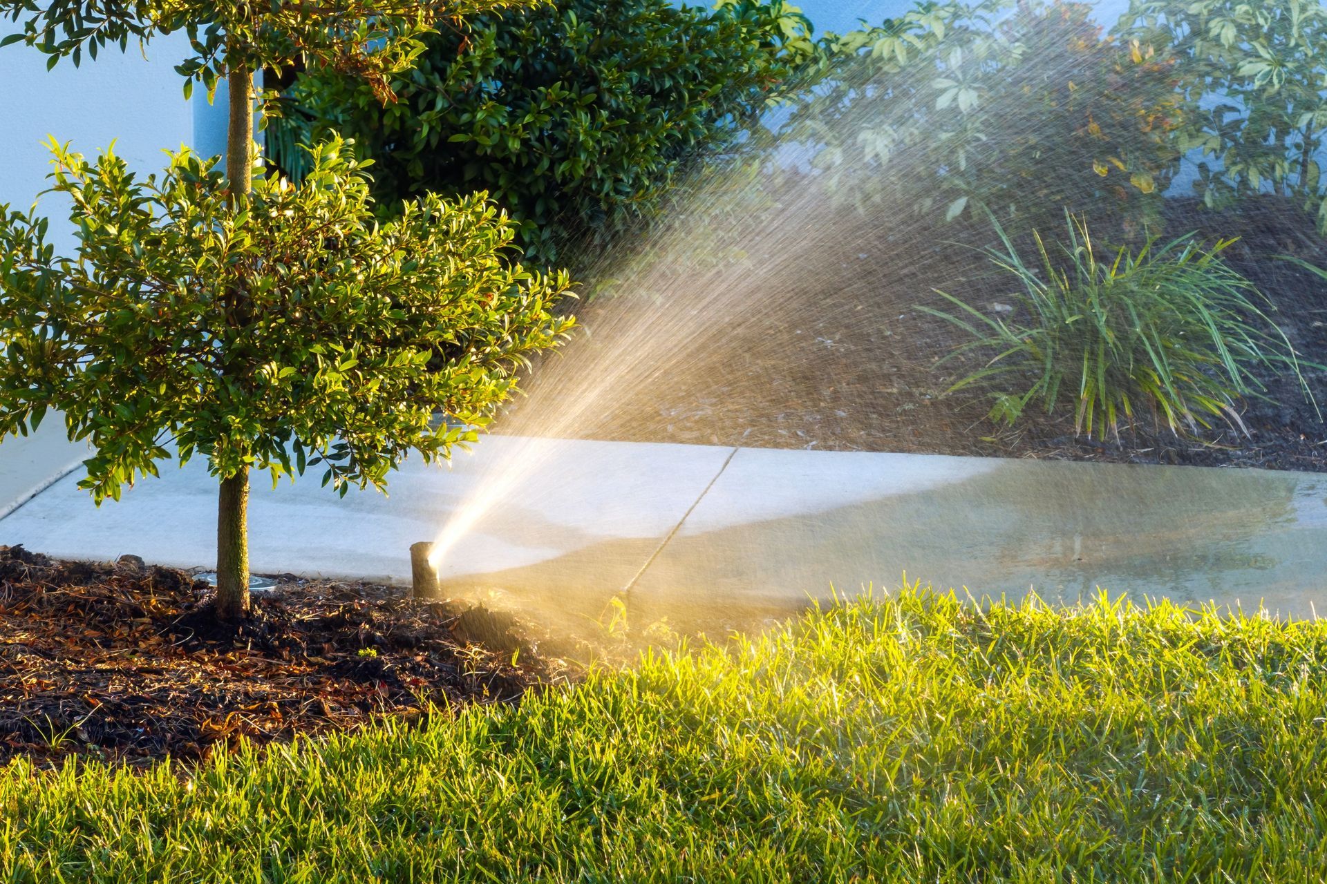 A sprinkler sprays water over a green lawn and mulch garden bed with small trees under bright sunlight.
