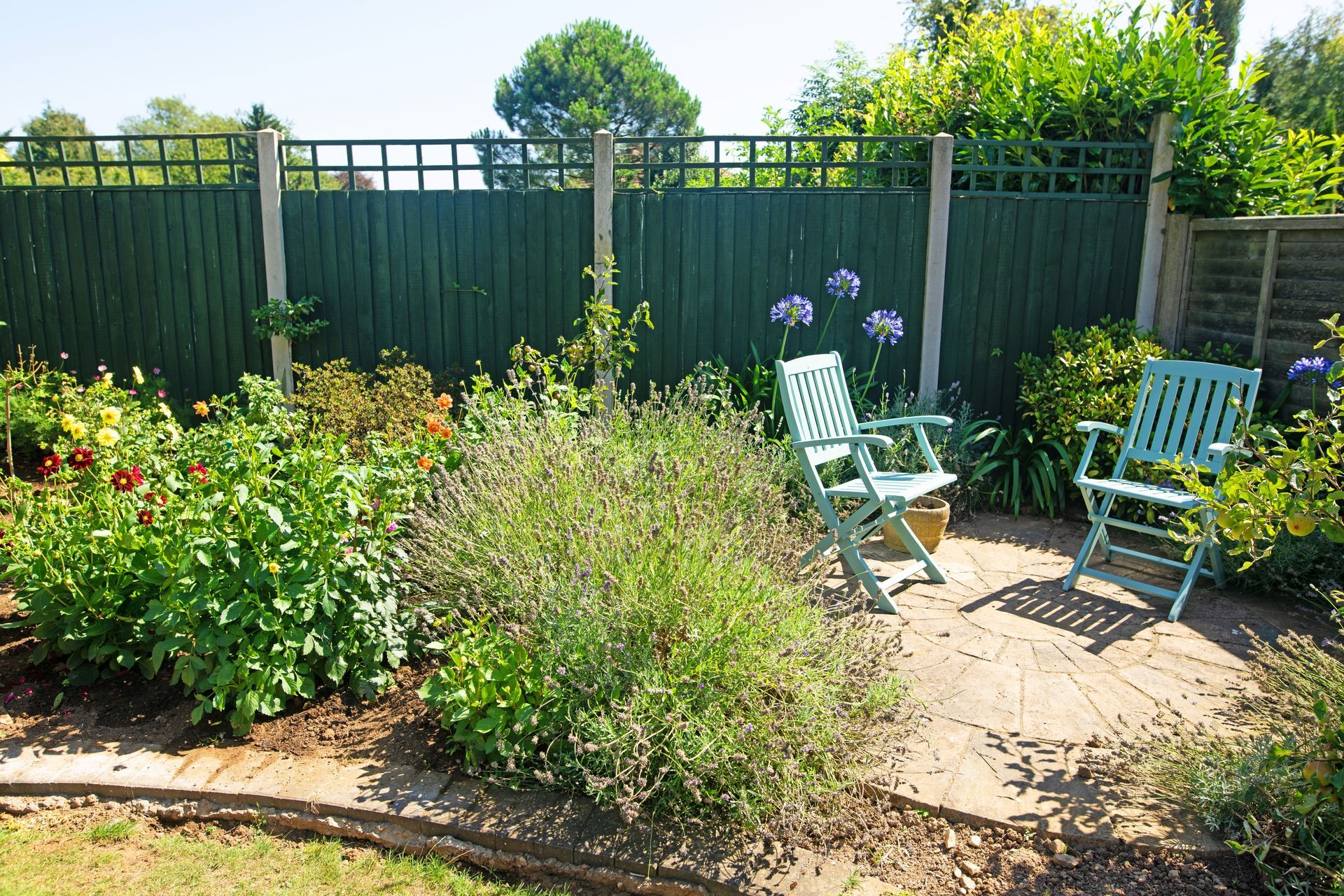Two light blue wooden chairs placed on a paved patio in a garden next to lush greenery and a dark green wooden fence.