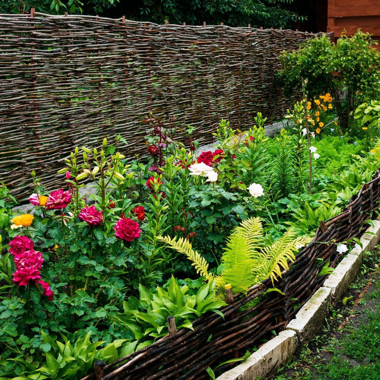 A garden with a wicker fence and lots of flowers