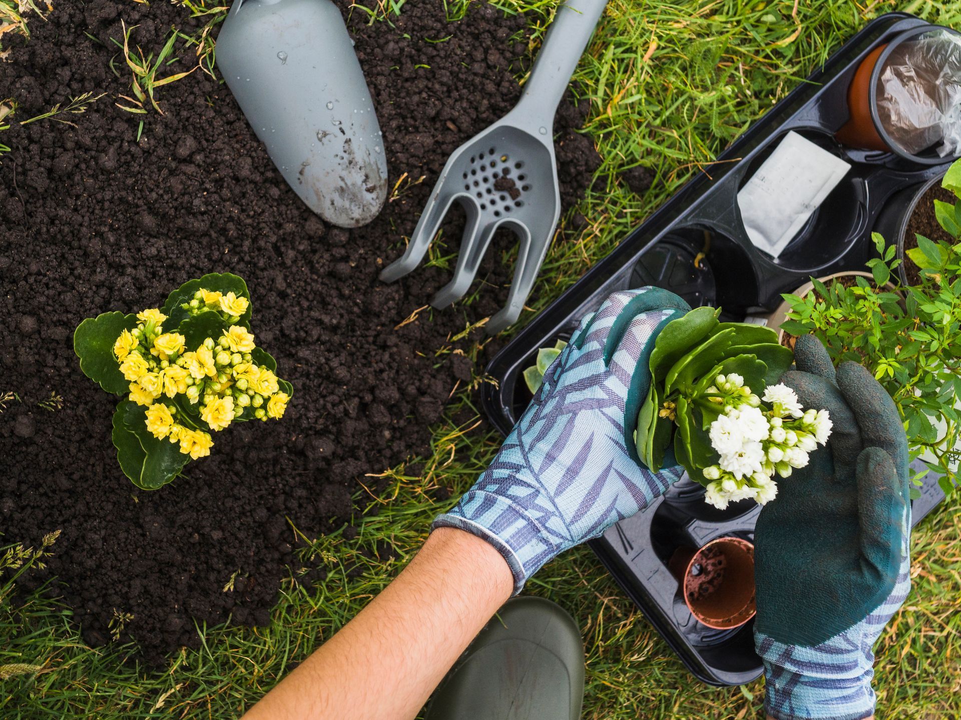 A person is planting flowers in pots in a garden.
