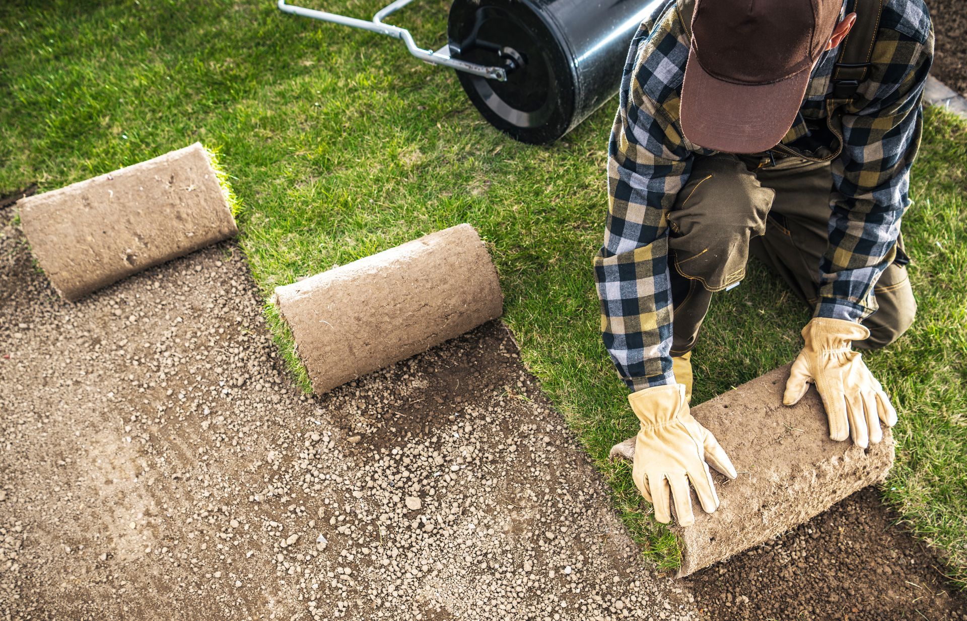A man is rolling a roll of turf on a lawn.