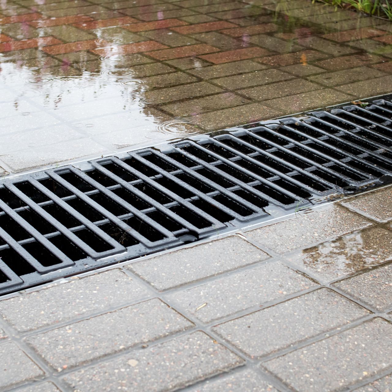 A drain on a brick sidewalk with a puddle of water on it.